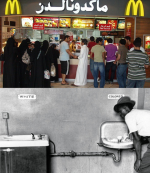 Mcsegregation.png